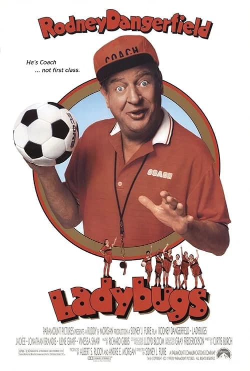 Ladybugs film posteri